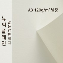 뉴씨플레인 종이문화 얇은 양면색지 120g A3 낱장 1매 No.53 백회, 1장