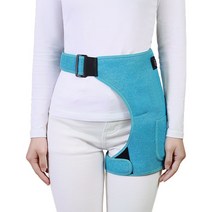 골반찜질기 허리 대퇴골 물리치료 전기온열 보호대, 블루 12V  + 마사지