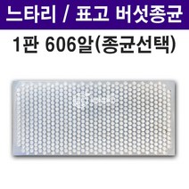 [느타리/표고 성형버섯 종균] 접종형 성형 버섯 종균 참나무 미루나무 버섯종균 캡슐형 성형, 01. 느타리버섯(606구 캡슐형)