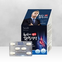 히딩크의 관절생생 (6개월)