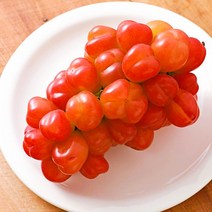 사랑의과일 씨없는 레드 샤인머스켓 마이하트포도, 1개, 1kg