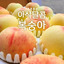 산지직송 영동복숭아 아삭달콤 딱딱이복숭아 부드러운 황도 백도 복숭아 가정용 선물용 왕특 특대 대 2.5kg 2kg 4kg, 부드러운 황도백도 복숭아 4kg 선물용(특/14~17)
