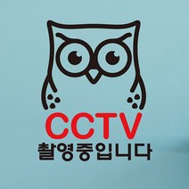 뭉키데코 뭉키데코 생활스티커_부엉이 CCTV촬영중01 (2811186)