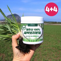 순수 제주 새싹보리 분말 에어분쇄 저온건조 보리어린잎 자연밭담, 8개, 1360g