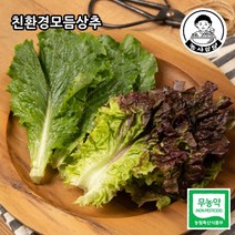 [농사임당] 친환경 무농약 혼합상추 (적상추 청상추 모듬상추) 500g/1kg, 1kg