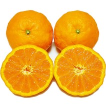 [제주의맛] 달콤한 제주 카라향 산지직송 선물용 가정용, 가정용포장, 카라향(소과귤) 3kg(26~33과 내외)
