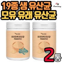 에너데이 모유 유래 프리미엄 유산균 230g 가루 파우더 락토바실러스 가세리 루테리 프로바이오틱스 프락토올리고당 중학생 고등학생 대학생 청소년 10대 20대 남자 여자