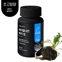 첫번째건강 블랙마카 고함량 페루산 아르기닌 야관문 흑마늘 식약처인증 600mg, 2통, 120정
