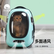 해외발송 (애완동물 이동장)Linglong 고양이 고양이 가방 외출 휴대용 우주 캡슐 애완 동물 스마트 배낭 어깨 고양이 외출 가방-11620, 01.지능형 온도 제어 버전 대형