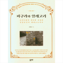 피구라와 알레고리 +미니수첩제공, 김영룡, 좋은땅