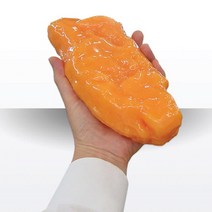 보급형 지방모형(1kg) my-B1000/비만교육/지방덩어리모형