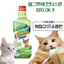 고양이 물에 타주는 치약 덴탈 후레쉬 고양이가글 입냄새 제거