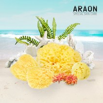 아라온 천연해면 / 그리스 천연해면, 파인실크3.5~4 jnch