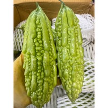 생여주 500G 국내재배 여주 도깨비방망이, 여주(500G), 1개