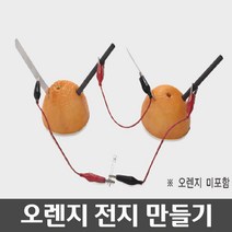 초등학교 과학 실험수업용 오렌지 전지만들기 (오렌지미포함) 과학실 연구실