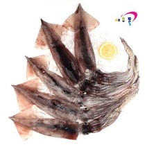 새우몰 국산 선동오징어 1kg 5-7미 채낚기 초코 총알배송, 1개