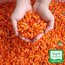 현대Hmall 산지직송 청양 무농약 건구기자 300g 210847