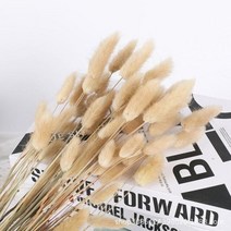 토끼 꼬리 말린 꽃 솜털 팜파스 잔디 소박한 웨딩 장식 홈 30 개, 05 primary_02 100pcs