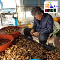 제철 햇 마산 진동 참미더덕(생물) 1 kg 달인이 당일채취, 생물 미더덕 (1Kg)