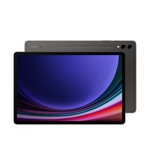 삼성전자 갤럭시탭 S9 플러스 256GB/512GB, Wi-Fi, 256GB, 그라파이트