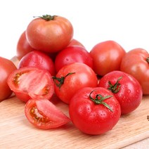 양가네 몰래먹는 친환경 유기농 토마토 5kg