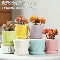 다육화분 다육이 심폴 화분 식물 미니 화분세트, 도자기, 옵션43