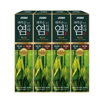2080 해죽순 담은 염치약 플러스, 100g, 36개