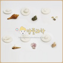 (밥풀)다양한 조개화석 (석고) (5인용)/EA