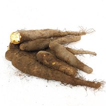 클라스가 다른 더조은 국내산 산마 2kg(알뜰형.중품.특상품), 산마(중품)2kg