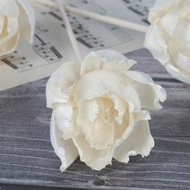인테리어 조화 510pcs 6cm 흰색 모란 꽃 등나무 스틱 디퓨저 태양 꽃 홈 웨딩, 5개