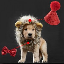 강아지 고양이 생일파티 촬영용 꼬깔모자 사자가발, 사자갈퀴모자(S)