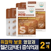 헬리코박터균 스페인 감초추출물 위장 건강에좋은 영양제 약 위점막보호제 판토텐산 위무력증 효능 추천, 30정 2개