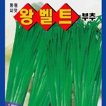 [가람종묘사] 왕벨트부추 씨앗(맛과 향이 좋고 시장성이 높은 다숙확 품종)
