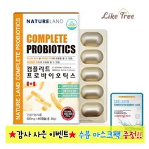 LGG 유산균 모유유래 포스트바이오틱스 프로바이오틱스 프리바이오틱스 분말 가루 파우더 락토바실러스 가세리 람노서스 플란타룸 ky1023 엘지지 3세대 제품 신바이오틱스 생유산균, 2개, 2개월분