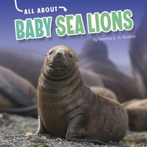 (영문도서) All about Baby Sea Lions Hardcover, Pebble Books, English, 9781663908032