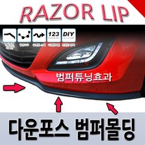 자동차 범퍼가드 다운포스 아반떼MD 더뉴K5 SM5 티볼리 뉴K3 LF쏘나타 올뉴말리부, 레이저립