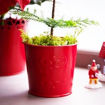 1+1 이케아 VINTERFINT 빈테르핀트 화분 9cm, 1+1)2개