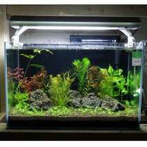 [라라아쿠아]라라 수초어항 풀세트 600 (가로 60 x 폭 35cm), 단일속성