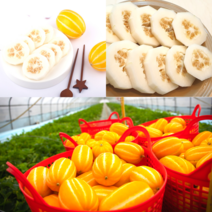 성주 참외 10kg 꿀 가정용 3kg 5kg 꼬마 고 당도 보장 농장 산지직송, 성주 참외 가정용(중대과)10kg