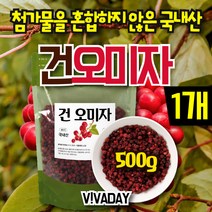 DAY 건오미자 500g 1팩/건오미자/오미자/건강한식품/지인선물/친구선물/부모님선물/건강식품선물, DAY 건오미자 500g  1팩