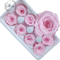 프리저브드 플라워 장미 재료 1송이, 연핑크(플로에버)1송이