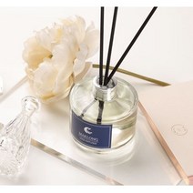 제이더블유Mall 실내용 디퓨저 200ml Diffuser 방향제 마크롱디퓨저 답례품 사은품, 애플, 10개