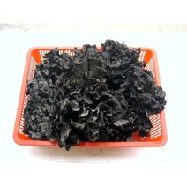 곰버섯(건조) 500g 1KG