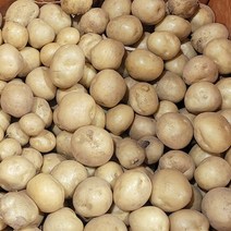 감자 왕왕 왕특 상 조림 20kg 10kg 5kg 국내산 백산상회, 조림(알감자)