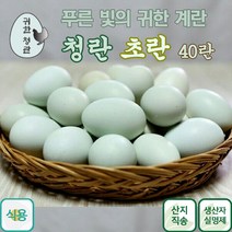귀한 청란 건강한 자연방사 유정란 푸른색 황제계란, 40개입