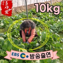 [여수돌산애] 여수 돌산갓 돌산 생갓 5kg 10kg {대량납품전문} 당일수확 산지직송 청갓 갓장아찌용 갓피클용 김장용 갓김치용 여수갓