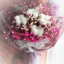 목화꽃다발, 핑크다발