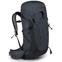 오스프리 Talon 33L 남성용 하이킹 백팩 등산가방 배낭, 탈론 33 하이킹 백팩, Eclipse Grey