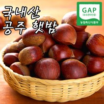 23년 햇 밤 공주 정안밤, 햇 밤 1KG