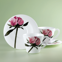 행남자기 본차이나 포유 커피잔 국산 도자기찻잔 2인조 4pcs, 포유 이모션 4pcs